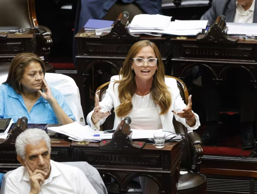 Parálisis de la obra pública: Tolosa Paz le pidió al gobierno que informe en 30 días la situación provincia por provincia