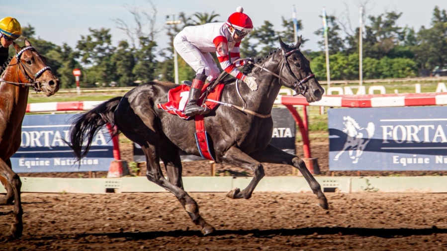 Se correrá el clásico Gran Premio Dardo Rocha en La Plata