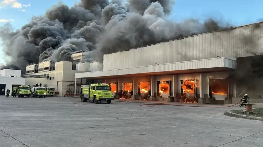 Tras el importante incendio, el Frigorífico Gorina de La Plata ya está en proceso de recuperación total de la planta