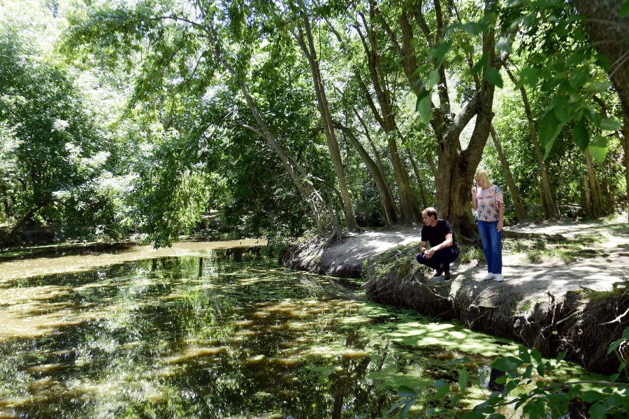¿Cuáles son los espacios naturales protegidos por la Municipalidad de La Plata?