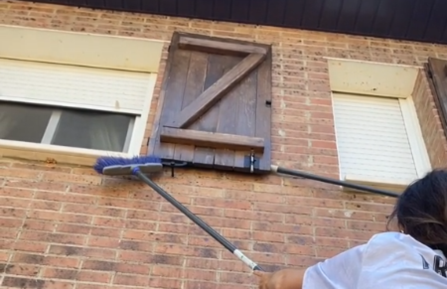 ”Ha sido traumático”: escuchaban ruidos, abrieron una ventana y se llevaron el gran susto de sus vidas