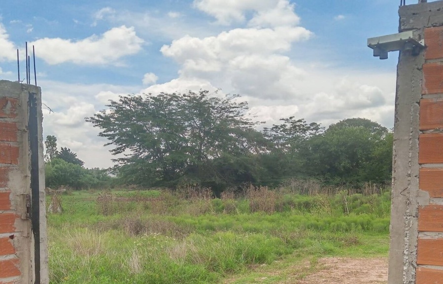 A una familia platense le robaron directamente el portón de su casa: ”¿Tengo que salir a matar y caer presa?”