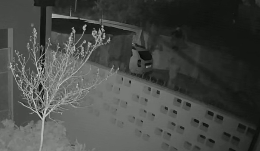 Cansado de la inseguridad, un vecino de City Bell dijo que se comprará un arma e instaló la polémica