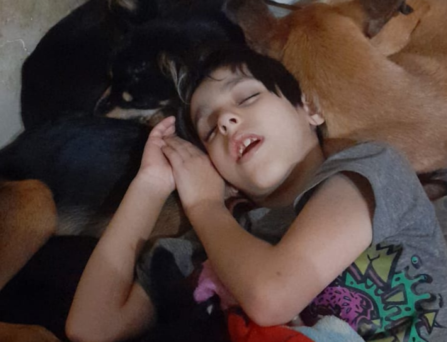 Quieren sacrificar en Villa Elisa a 9 perros que ayudan a chicos discapacitados: ”Es discriminación, un delito muy grave”