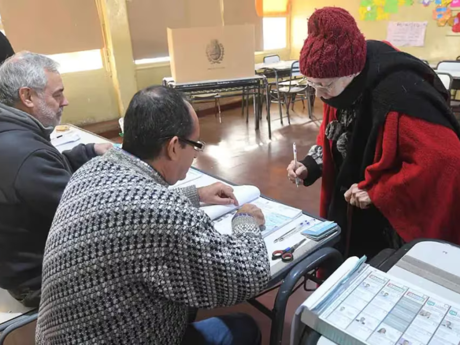 Perro guía, sufragio asistido y cuarto oscuro accesible: la campaña para votar sin discriminación en La Plata