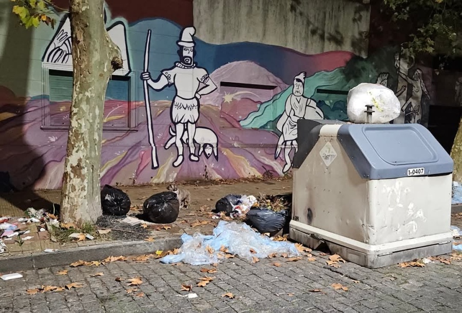 Vecinos de 4bis y 530 exigen limpieza por basura acumulada