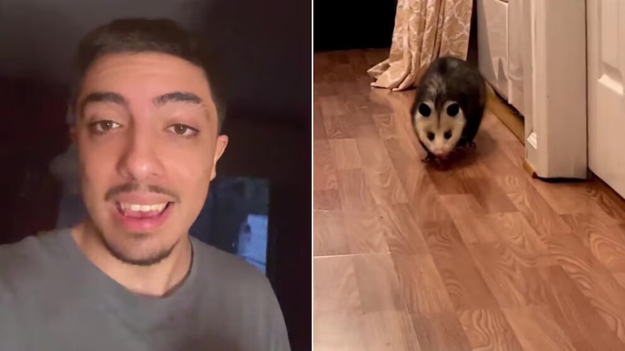 Se despertó a la madrugada y se encontró con una gran sorpresa en el living de su casa: ”Por favor no me hagas...”