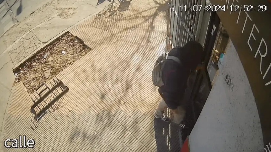 Robó dos veces en una semana en un comercio de La Plata y fue detenido