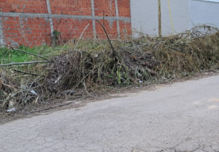 En 522 y 132 pidieron la urgente recolección de las ramas