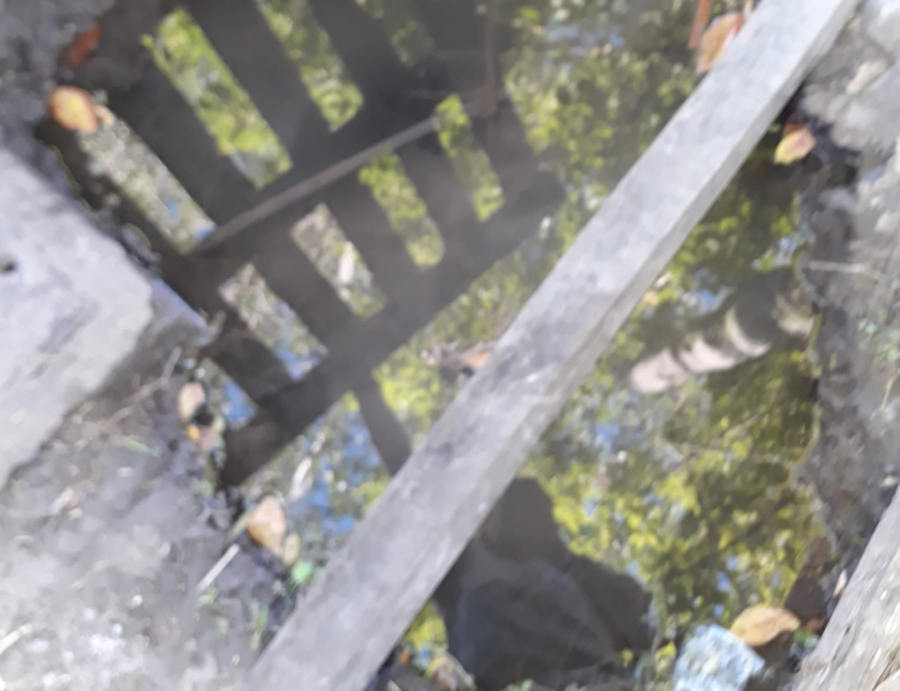 En 57 y 150 se hartaron de una pérdida de agua en la vereda que ya lleva 8 meses