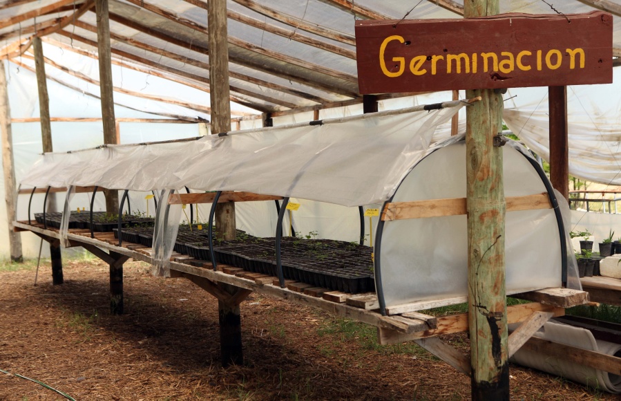 Se realizarán diferentes actividades gratuitas en el Parque Ecológico de La Plata para toda la familia