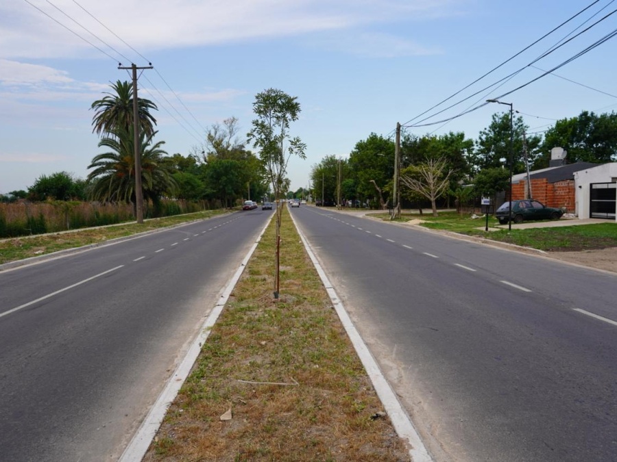Inauguraron la nueva avenida 38 en San Carlos
