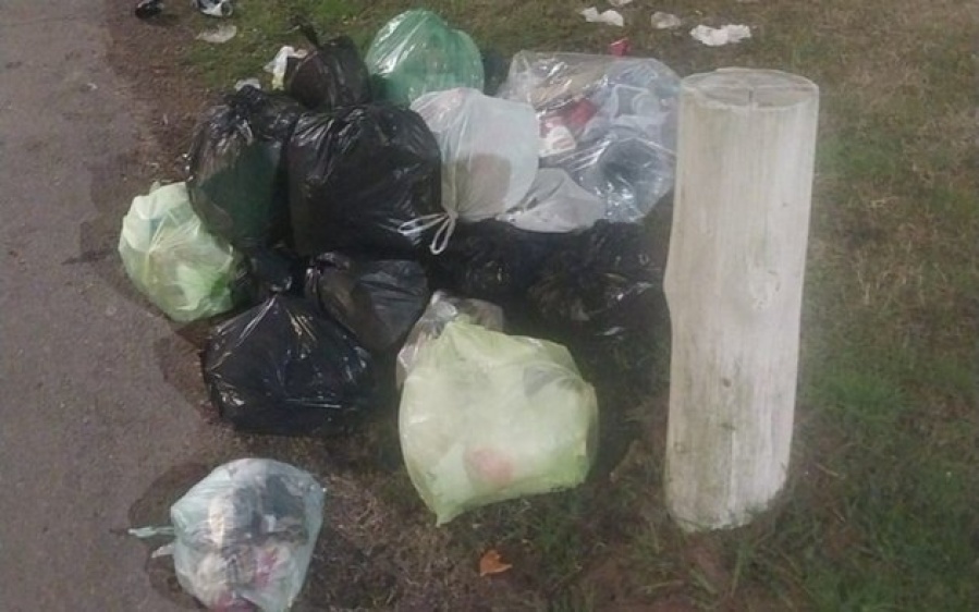 Vecinos de Gonnet se indignaron por un amontonamiento de basura ”que nadie retira”
