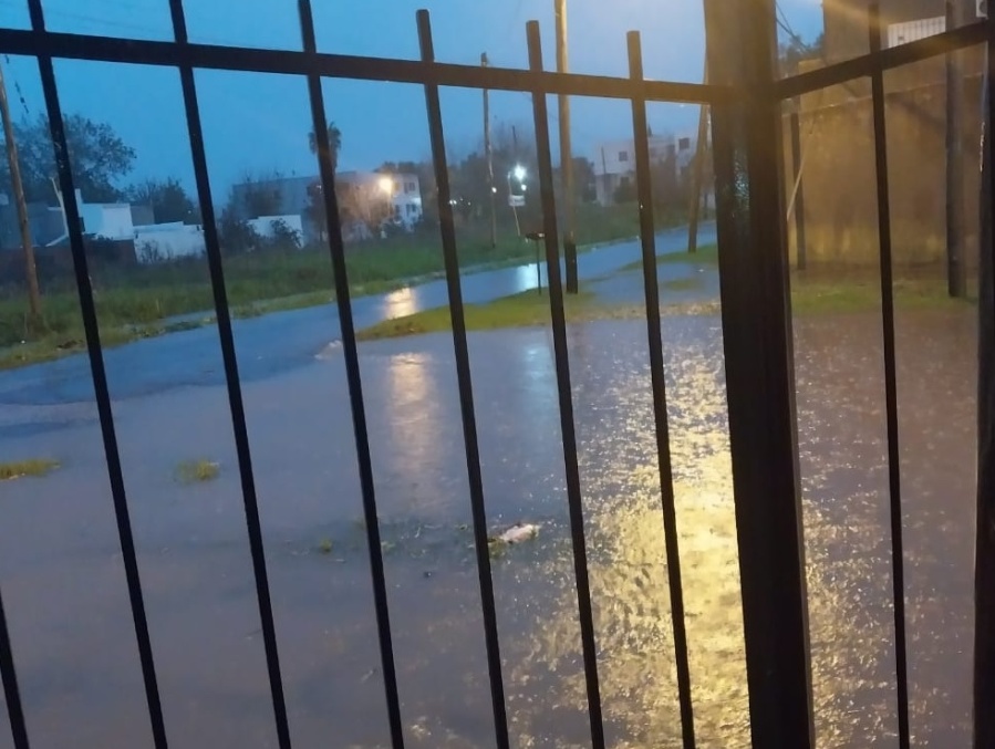 120 llamados al 103, 14 árboles caídos y 12 postes afectados: el balance oficial de la fuerte tormenta en La Plata