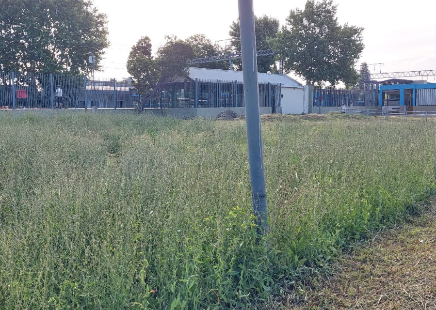 Vecinos de City Bel alertaron por los pastizales cada vez más altos en la zona de la estación de trenes