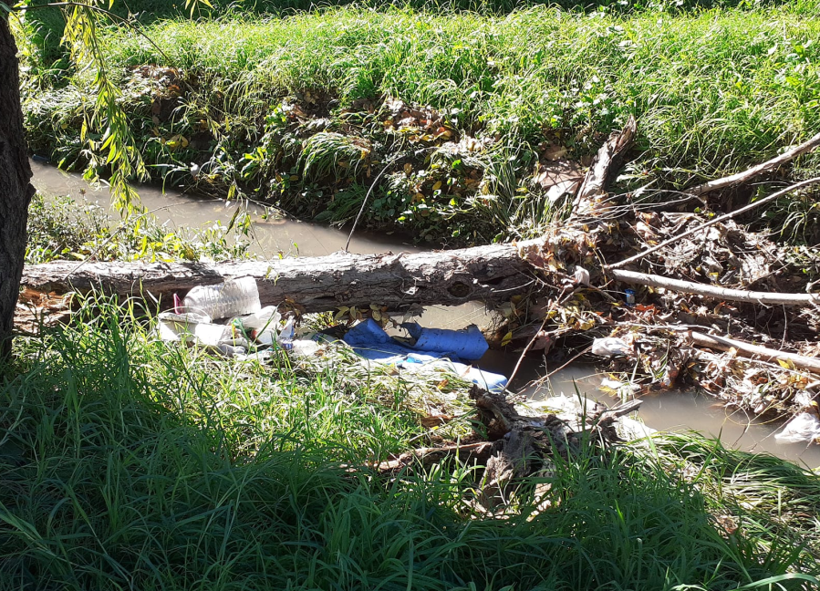 En Los Hornos reclamaron por un zanjón cada vez más obstaculizado: ”No nos llevan el apunte”