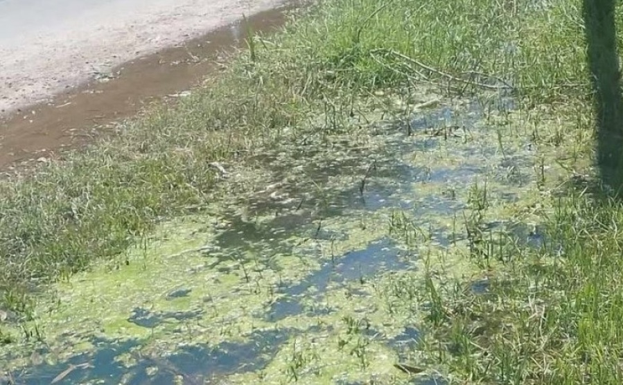 En 3 y 90 pidieron una solución urgente por un caño roto que ya generó un gran charco
