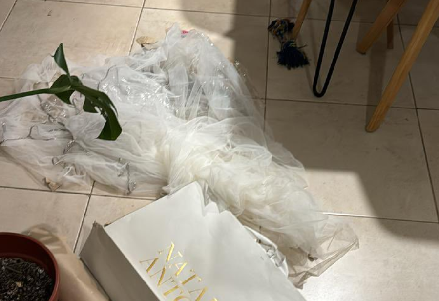 El perro se comió el vestido de la novia antes del casamiento, se viralizó y algunos creen que fue una señal: ”Sabe cosas”