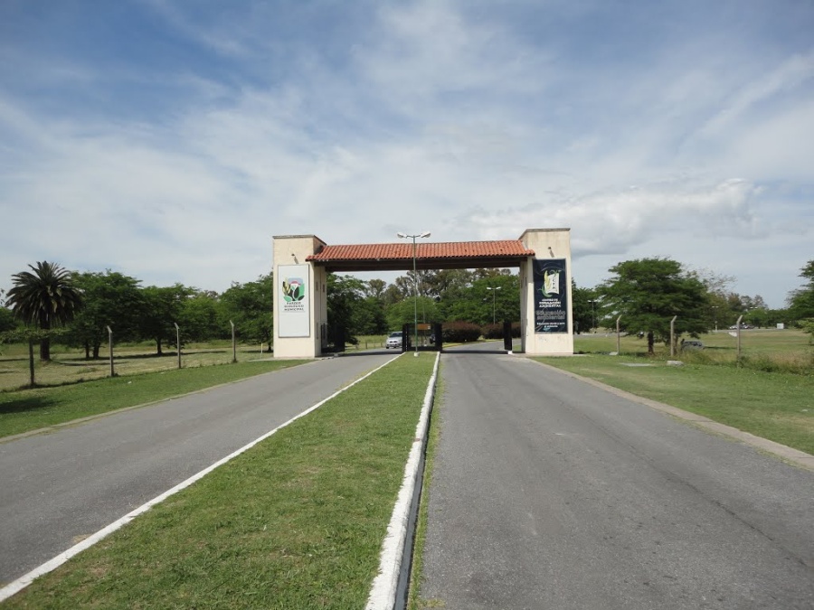 Murió atropellado por un micro un hombre en Villa Elisa