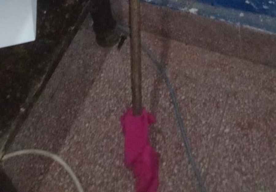 Rompió una restricción perimetral, llevó una lanza y todo: una joven fue detenida en La Plata