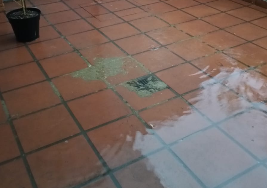 Una vecina de Villa Elvira lleva 20 días con un desborde cloacal en su casa: ”Mi esposo se operó el miércoles; es urgente”