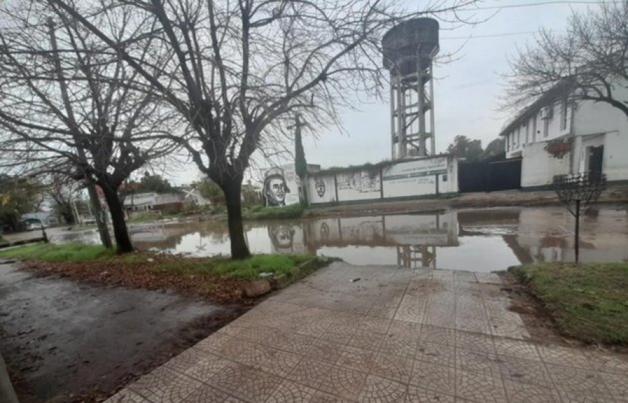 Vecinos de Barrio Hipódromo reclaman por mejoras en la higiene urbana porque están cansados de ”vivir en la mugre”