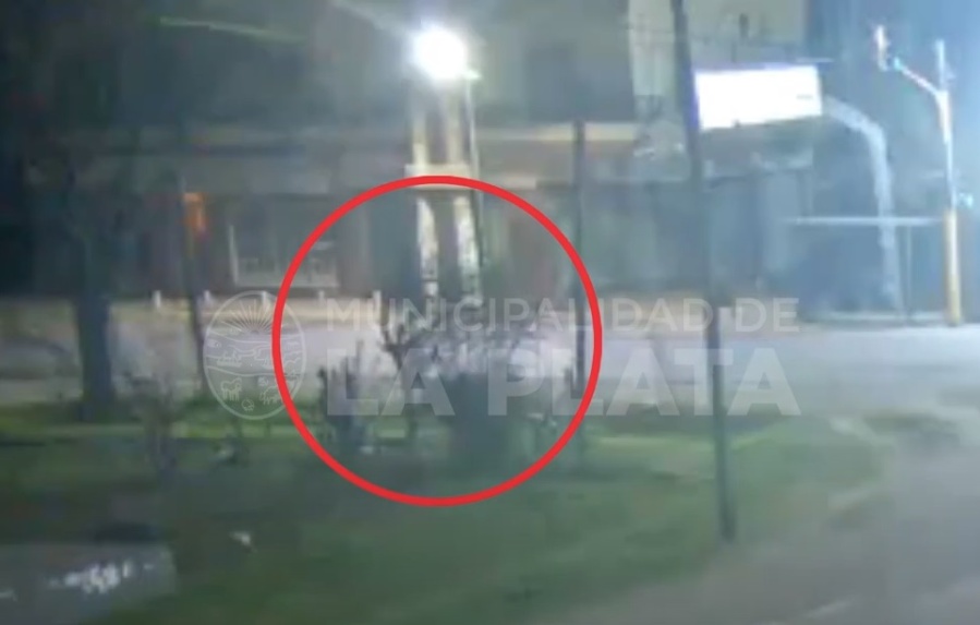 Así fue el momento en que detenían a tres delincuentes mientras robaban el cableado de una plaza en Etcheverry