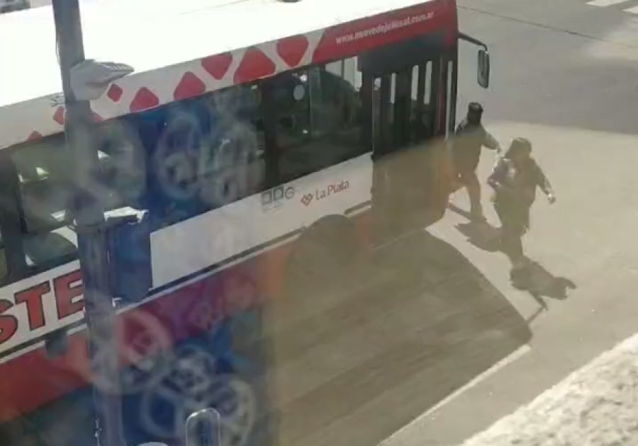 Micros ”peatonodiantes”: la queja de un vecino por el comportamiento de los colectivos sobre avenida 7