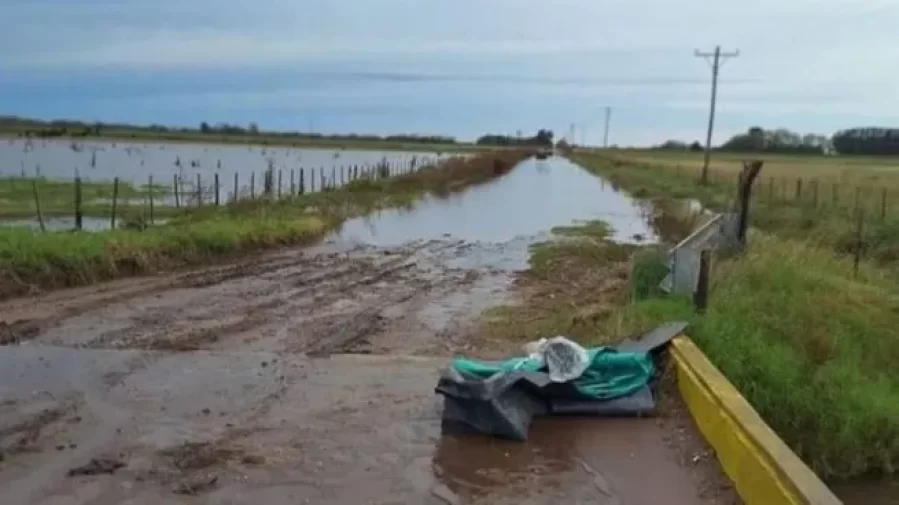 Inundaciones: la Provincia declaró la emergencia agropecuaria en diez distritos
