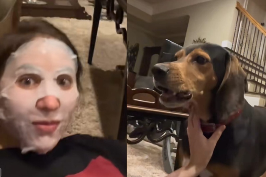 Se puso una mascarilla, su perro no la reconoció y comenzó a ladrar como si fuera una alarma frente a ella