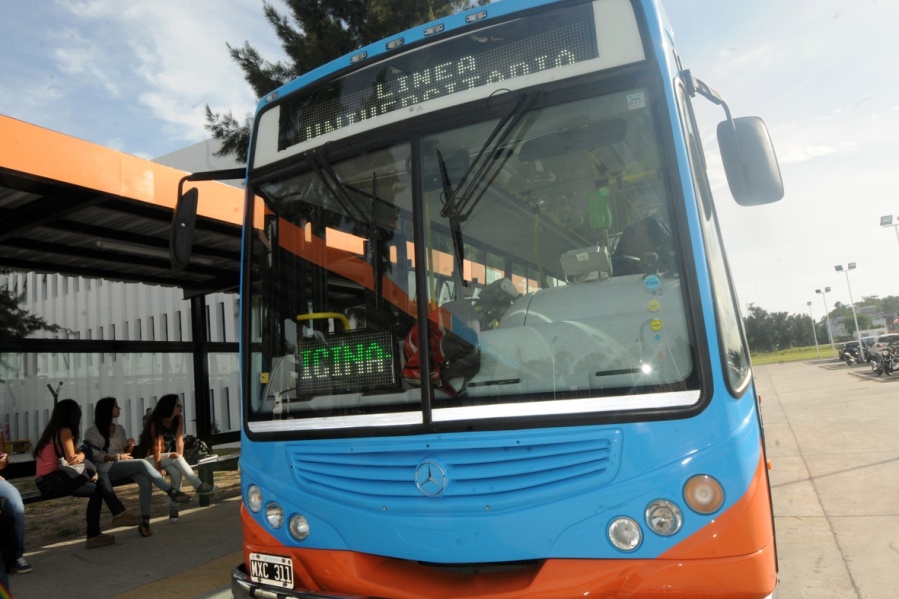 Así son los horarios del micro universitario de La Plata que vuelve a funcionar: se mantendrán los dos trayectos