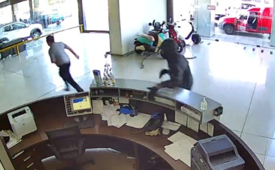 ”Dame la plata o te mato hijo de p...”: un ladrón entró a las patadas a una concesionaria de Tolosa