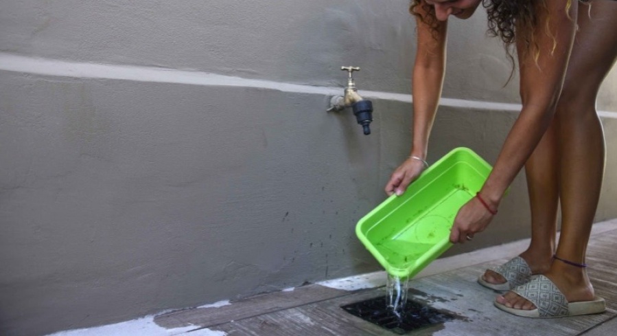 Llega el calor y aparecen los mosquitos: cómo evitar la reproducción del dengue