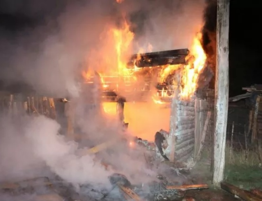 El peor Año Nuevo para dos familias platenses: un incendio arrasó con todo y ni siquiera lograron salvar a los perros