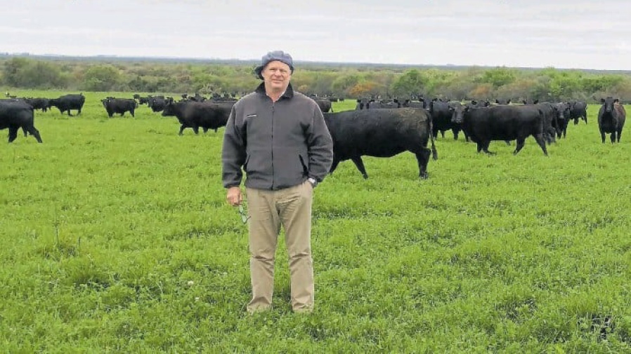 Delincuentes asesinaron a un importante empresario para robarle la moto en la Panamericana
