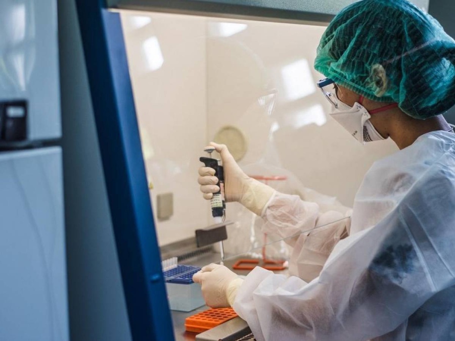 Confirmaron el tercer caso de ”viruela del mono” en Argentina: no tenía antecedente de viaje