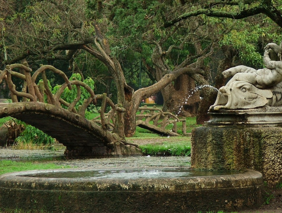 Advirtieron por árboles viejos del Parque Saavedra que pueden causar accidentes