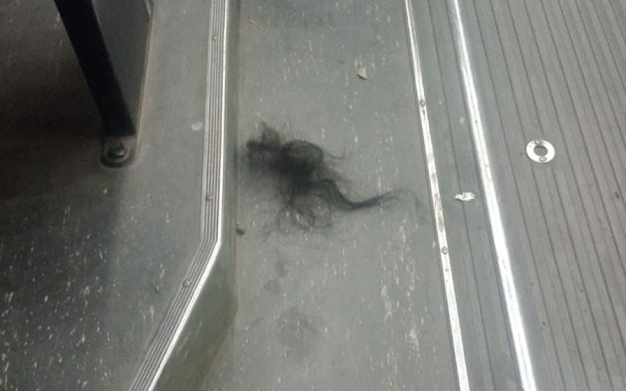 Una mujer agarró de los pelos a otra en un colectivo de La Plata y testigos aseguraron que ”la dejó pelada”