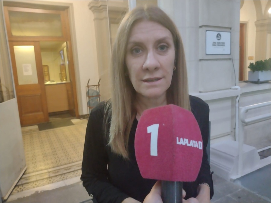 La equinoterapia, a un paso de ser regulada en la Provincia Buenos Aires: ”El niño trabaja emocionalmente con el caballo”