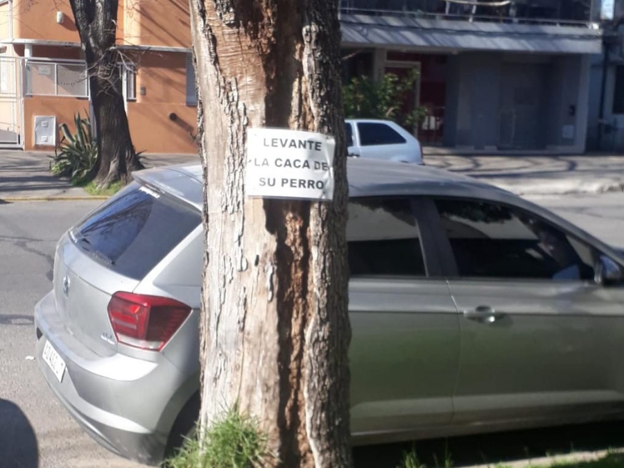 Los vecinos de un barrio platense se hartaron de los desechos de perros y tomaron iniciativa