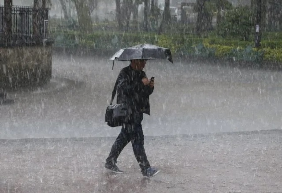 La Plata registró vientos superiores a los 70 kilómetros por hora y Olmos fue la localidad donde más llovió