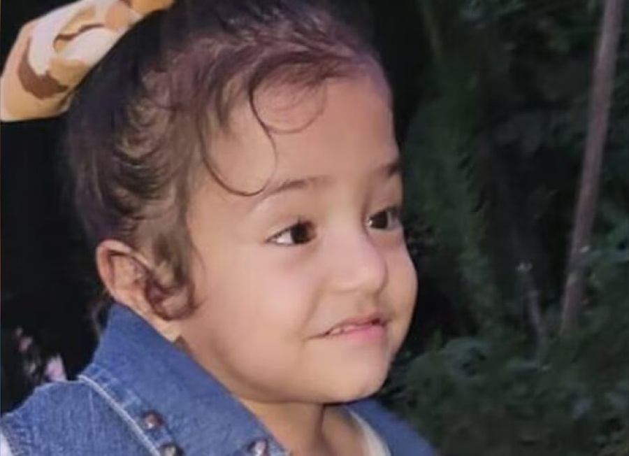 Mataron a golpes a una nena de cuatro años y su madrastra quedó detenida: ”Me la entregaron en un ataúd”