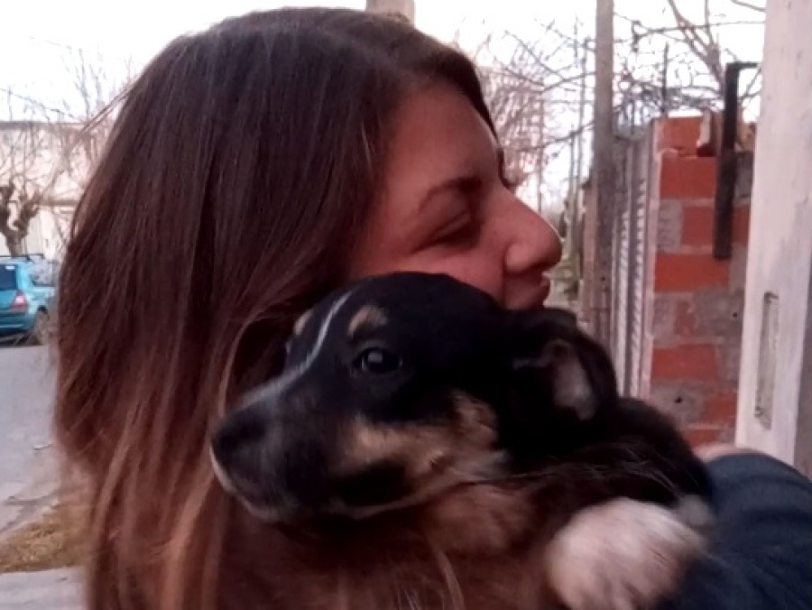 Una platense dejó todo para salvar perros abandonados y necesita ayuda para seguir: ”Toqué fondo económicamente”