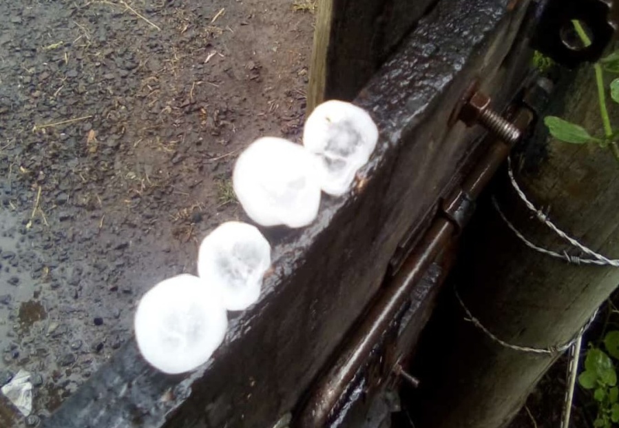 ”Ni una actualización”: el enojo de un pronosticador por la información de la Municipalidad de La Plata en el último temporal