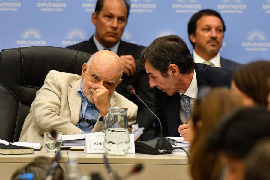 La ONU pidió participar del debate sobre la Ley Ómnibus: Unión por la Patria exigió que se le permita