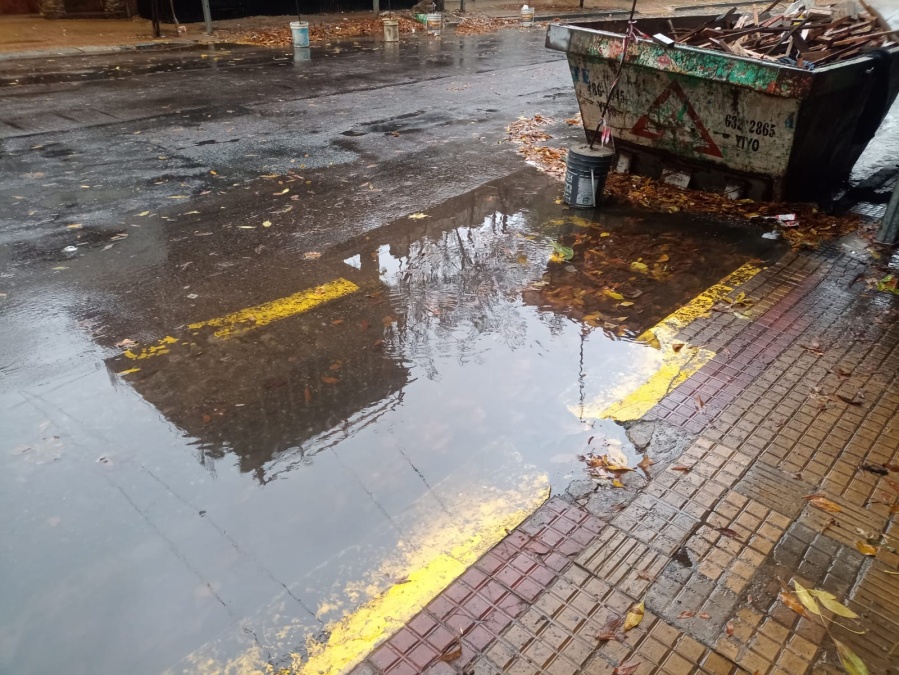 Hojas caídas y preocupación en los vecinos platenses porque ”se tapan las bocas de tormenta”