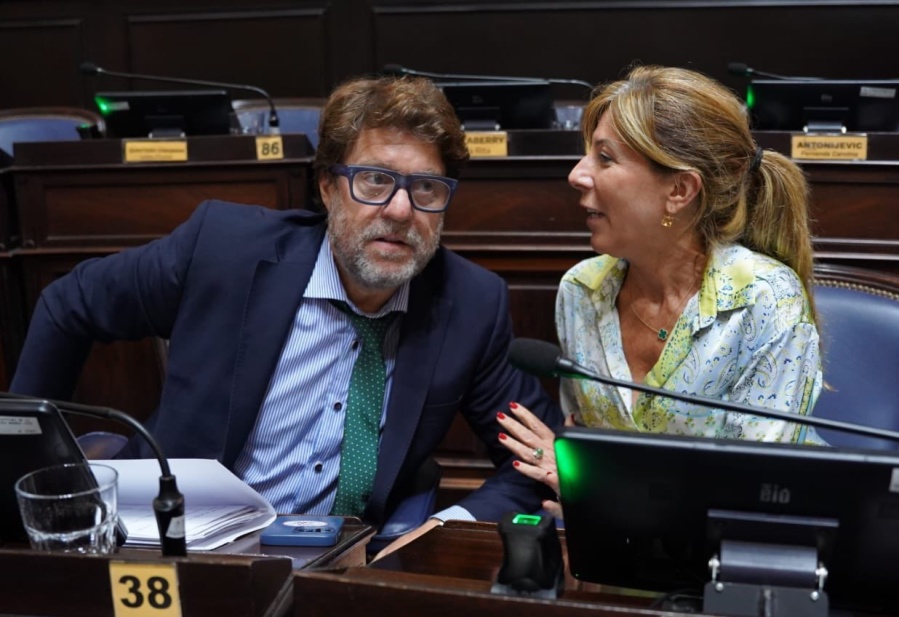 En medio del tironeo por el Presupuesto 2025, un bloque opositor clave presiona por la autarquía de IOMA