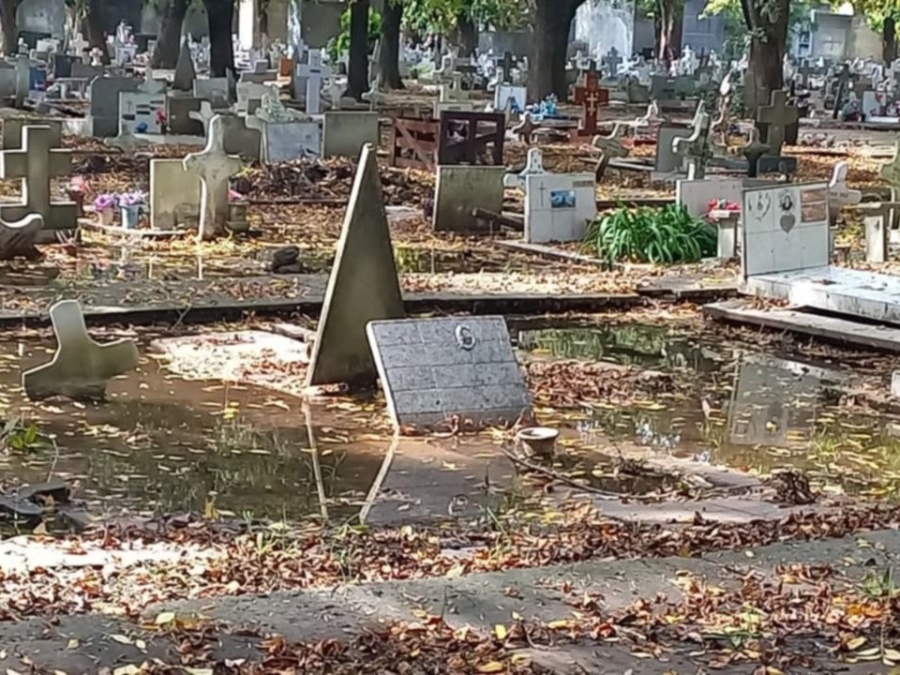 Denuncian falta de mantenimiento en el Cementerio de La Plata: ”Todo sin cuidado”