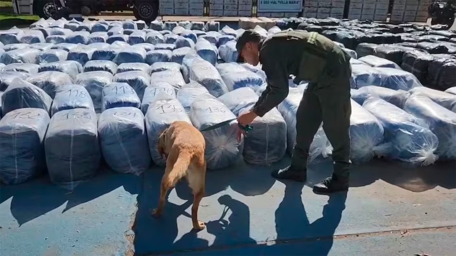 Un operativo policial dio con un camión proveniente de Salta que transportaba 7 kilos de cocaína con destino a La Plata