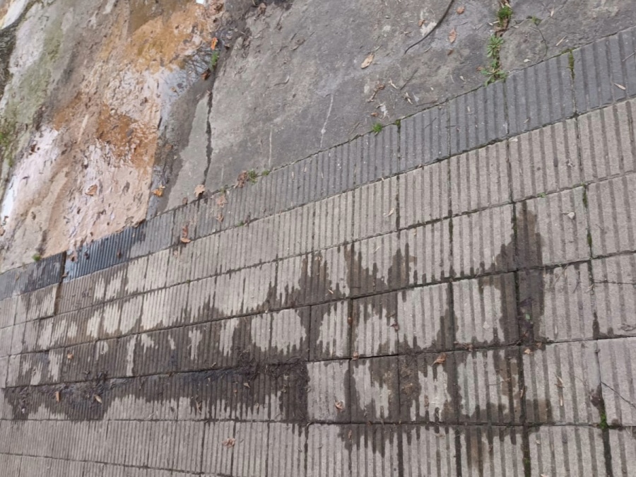 Vecinos de Ensenada claman por urgente reparación de pérdida de agua en calle San Martín